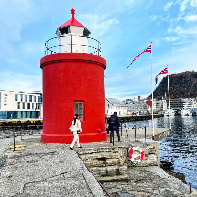 ノルウェー🇳🇴オーレスン