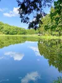  【奈良】奈良のウユニ塩湖👀？？絶景スポット：龍王ヶ渕