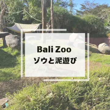 【峇里島】在峇里動物園與大象玩泥巴