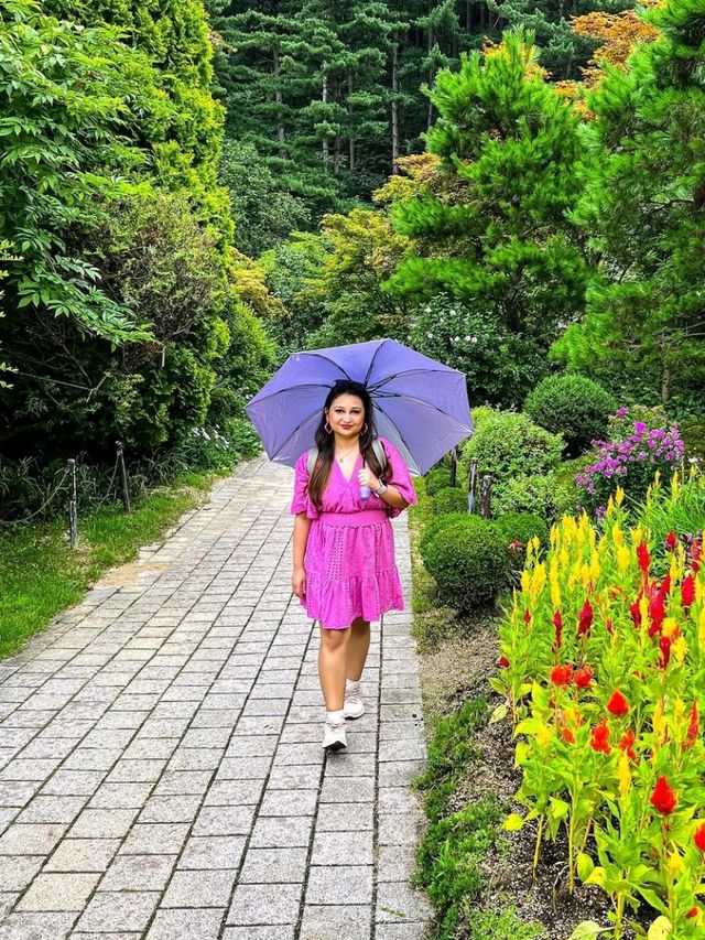 The Magical Garden of Morning Calm 🌸✨🇰🇷