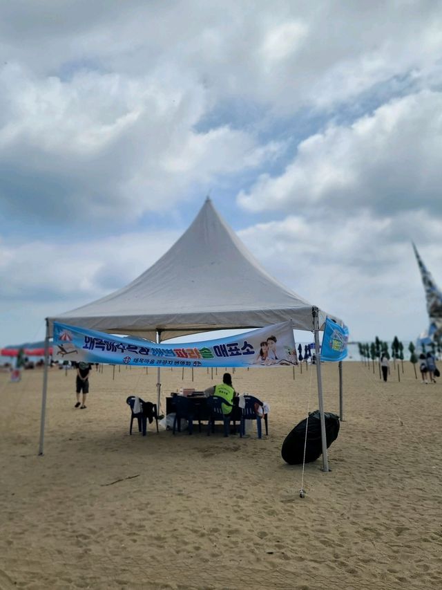 당진 여름여행지로 강추하는 왜목마을 해수욕장🏖