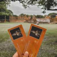🙏เที่ยวประวัติศาสตร์ @ลพบุรี