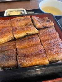 高知 / 並んででも食べたい鰻屋