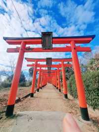 【神戸】ひとり旅にもオススメ！高取山へ行こう♪