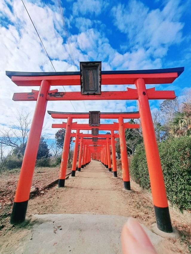 【神戸】ひとり旅にもオススメ！高取山へ行こう♪