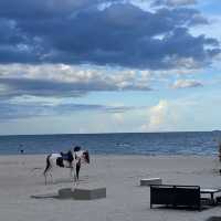 Ace of Hua Hin