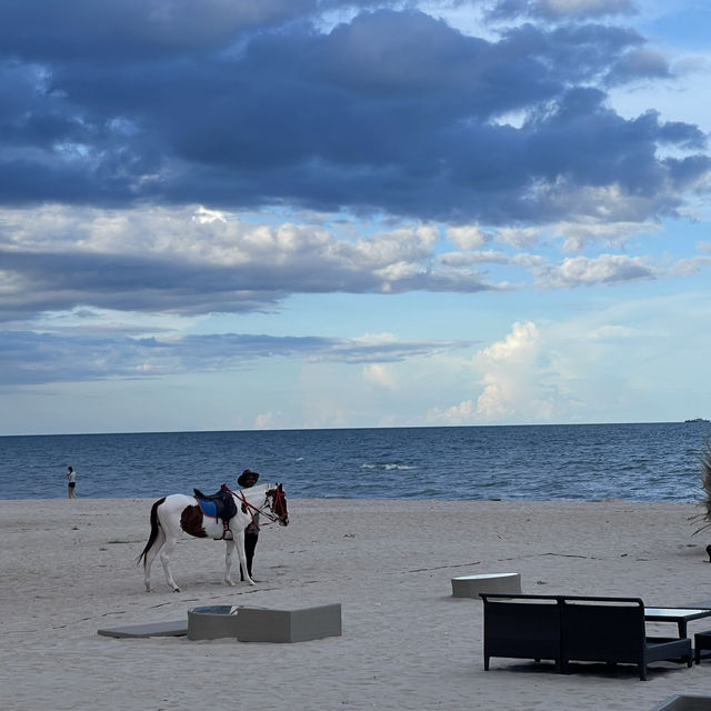 Ace of Hua Hin
