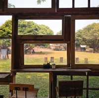 Far Away Cafe🌳