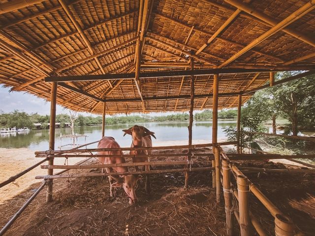 ที่เที่ยวสำหรับครอบครัว@บางแพ ราชบุรี