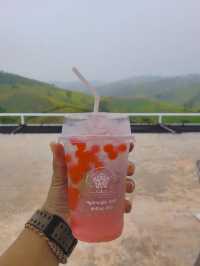 ไฮเดรนเยียคาเฟ่ เขาค้อ