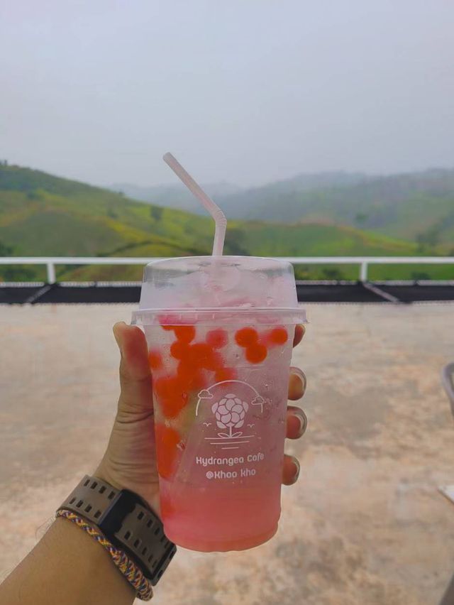 ไฮเดรนเยียคาเฟ่ เขาค้อ