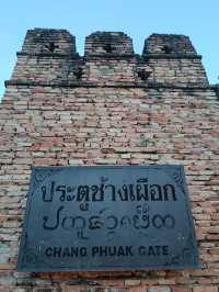 📍 ประตูช้างเผือก 