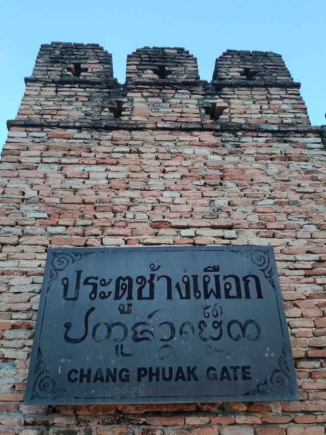 📍 ประตูช้างเผือก 