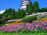 Floral Splendor at Doi Inthanon Pagoda