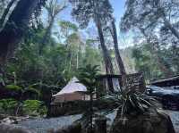 The camp Maekampong