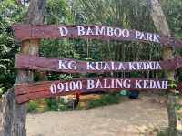 D Bamboo Park