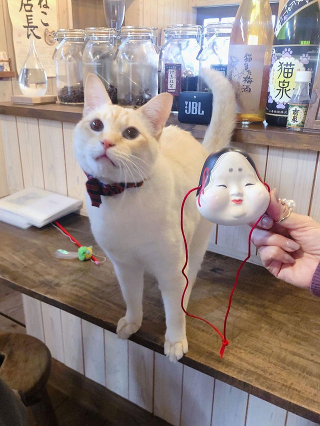 【福岡カフェ】