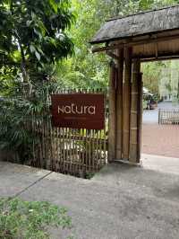 🍰🌻: Nature Garden Cafe