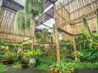 คาเฟ่สวนดอกกล้วยไม้แม่ริม เชียงใหม่