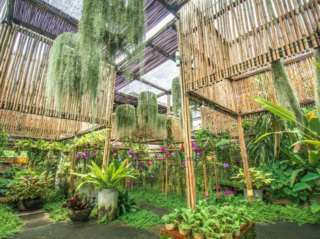 คาเฟ่สวนดอกกล้วยไม้แม่ริม เชียงใหม่