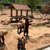 多摩動物公園～親子遊好地方