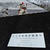 Explore the Charm of Tokoname Manekineko-Dori Street - A Cat Lover's Paradise🐱🏮🌸