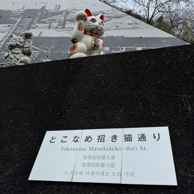 Explore the Charm of Tokoname Manekineko-Dori Street - A Cat Lover's Paradise🐱🏮🌸