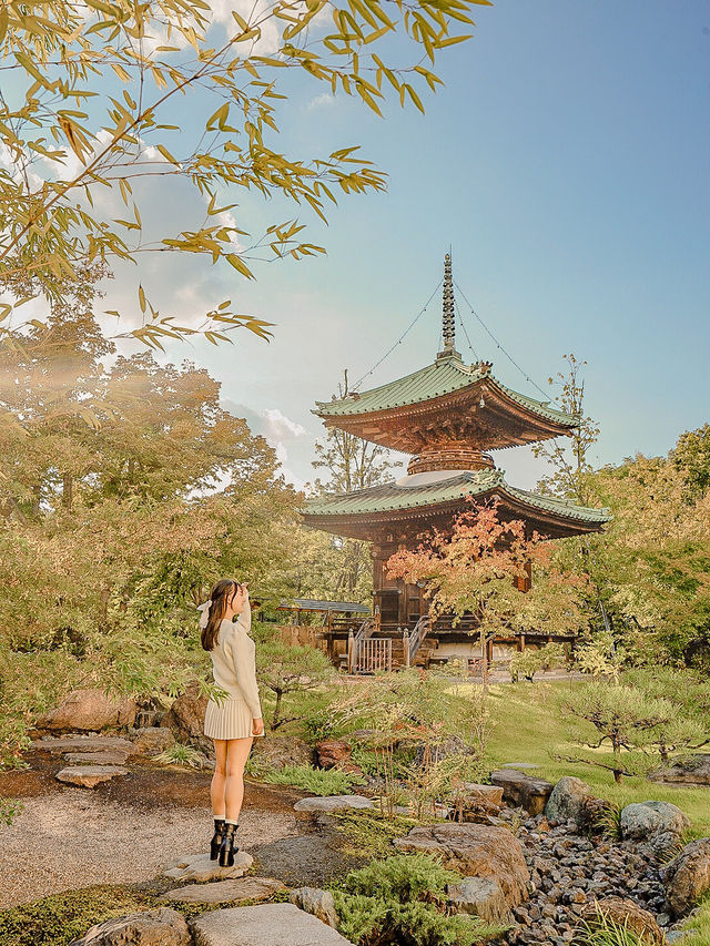 📍藤田美術館