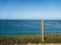🇦🇺 墨爾本 大洋路🌊 這種只屬於衝浪天堂不同層次的藍🦋