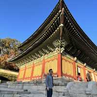 An Ancient rich 🇰🇷 history in Gyeongbokgung Palace