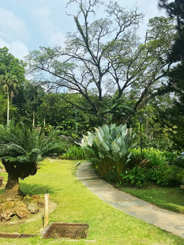 Greenland in the city centre 🍀🎄