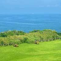 🌊 根本海岸：天然的美麗畫卷