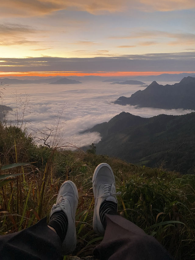 ชมทะเลหมอกที่ภูชี้ฟ้า จ.เชียงราย ⛰️⛅️🌳🌼
