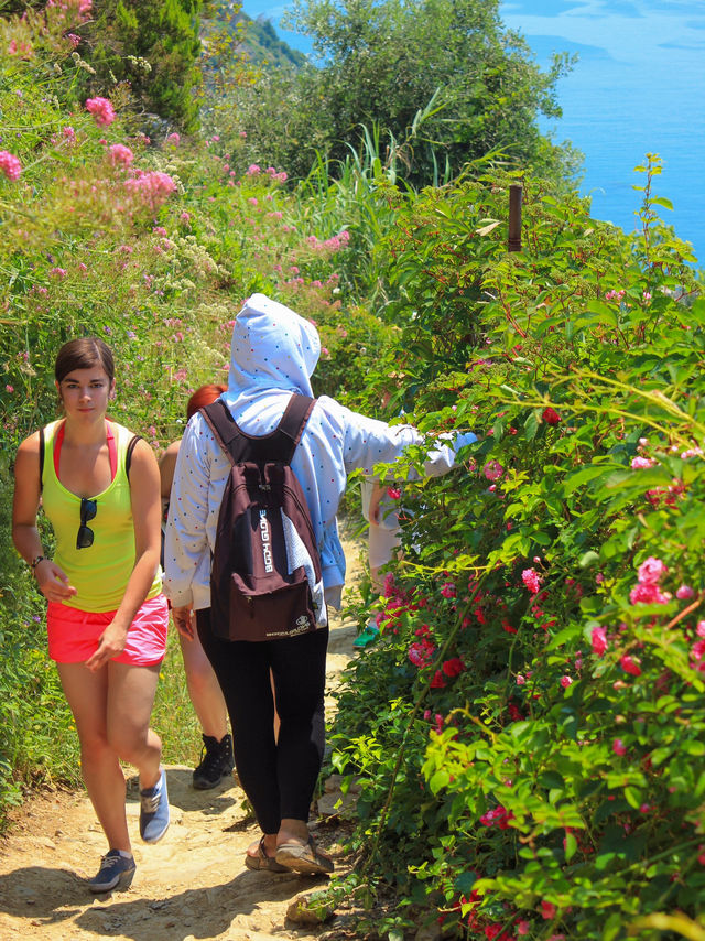Journey Along the Beautiful Coastline: Hiking the Monterosso to Vernazza Trail