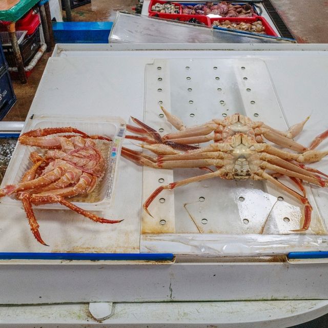 신선한 대게와 싱싱한 회를 살 수 있는
