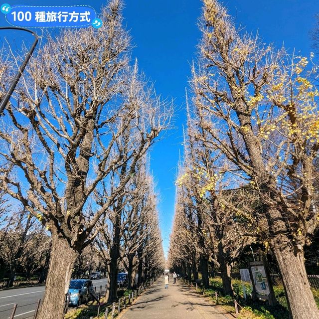 另類光禿禿的銀杏併木奇景:明治神宮外苑大道 另類光禿禿的銀杏併木奇景:明治神宮外苑大道