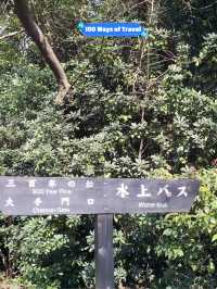🇯🇵 Hamarikyu Gardens