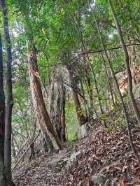 Exploring Tanjung Tuan Recreational Forest 🌿