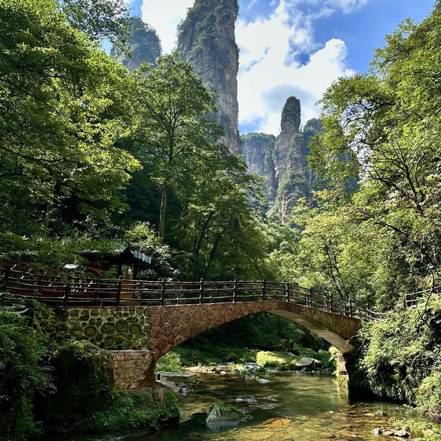 Zhangjiajie National Park( Avatar Mountains) 