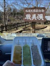 【エネルギーチャージ✨】自然の雄大さを感じる全国絶景スポット５選！