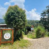 清邁 - Elefin farm&cafe 大象咖啡廳