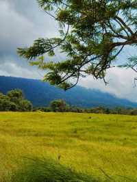 อุทยานแห่งชาติเขาใหญ่