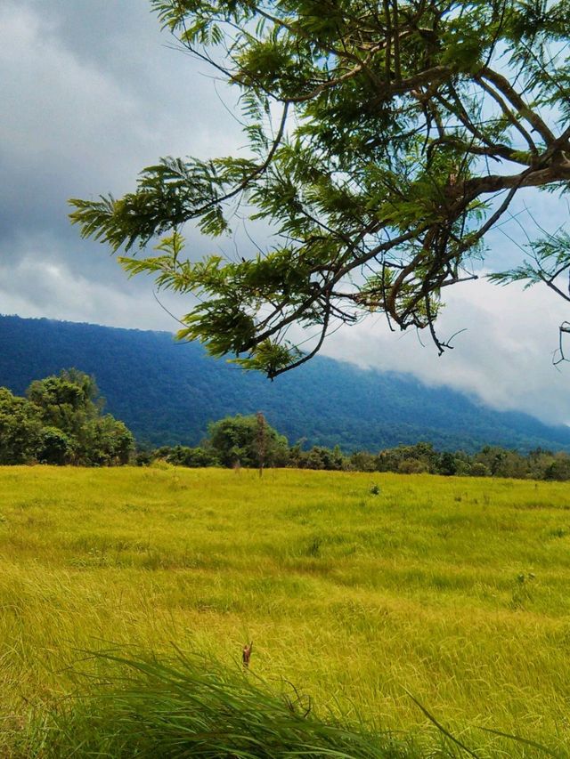 อุทยานแห่งชาติเขาใหญ่