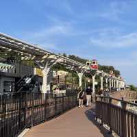 【韓国】プサンの見どころとプサン旅行がオススメな理由🇰🇷