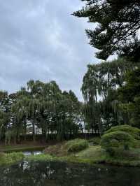 【佐久市】まるで日本庭園！？無料で楽しむ中嶋公園🌳