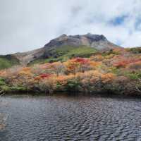 🦜華蓋山🍄‍🟫秋色自然的魔力！🍂⛰️