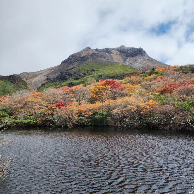 🦜華蓋山🍄‍🟫秋色自然的魔力！🍂⛰️
