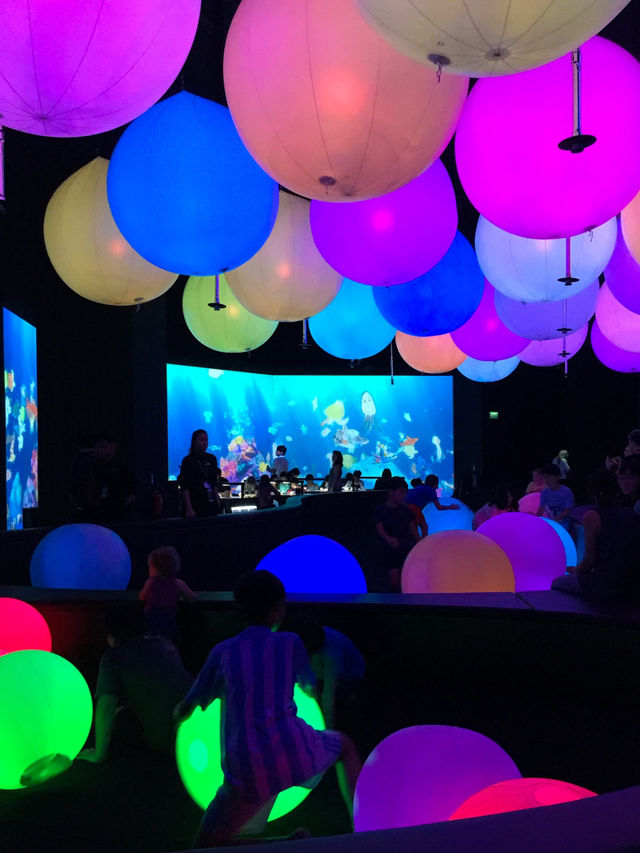 【シンガポール】Team Lab✨体験型ミュージアム