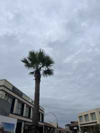 【木更津市】遊園地もある！1日楽しめる最強アウトレット！