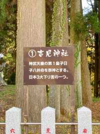 【熊本】⛩️ 日本三大下り宮のひとつ、阿蘇随一のパワースポット ⛩️ 